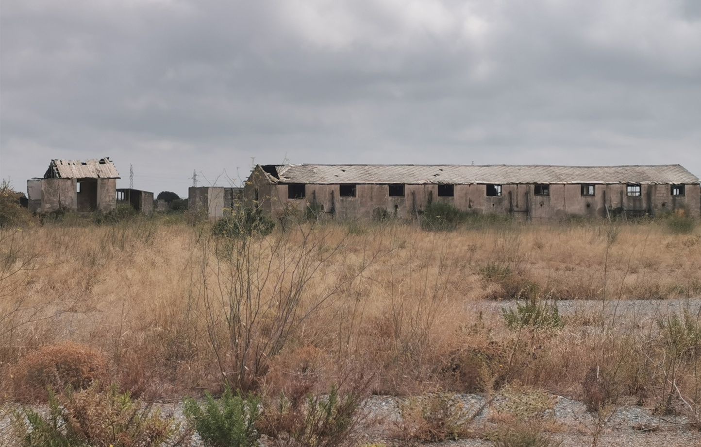 Pyrénées-Orientales : Découverte de caisses contenant des ossements, sans doute ceux des Harkis du camp de Rivesaltes thumbnail