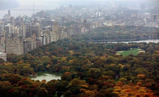 Le très renommé Central Park de New York, considéré comme le poumon vert de la Grosse Pomme, a de quoi se réjouir: il vient de recevoir un don de 100 millions de dollars de la part d'un fonds d'investissement américain, la plus grosse contribution jamais faite à un parc.