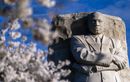 Trump rend publiques des archives du FBI sur l’affaire Martin Luther King