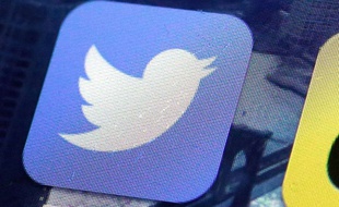 L'oiseau bleu de Twitter.