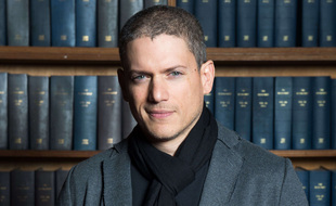 L'acteur Wentworth Miller, en octobre 2016.