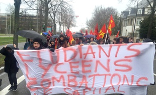 Manifestation contre réforme du Baccalauréat et de l'accès à l'université. Strasbourg le 01 février 2018.