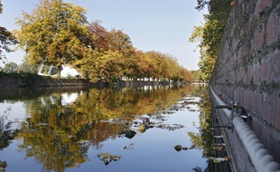 Le canal de la Deûle.