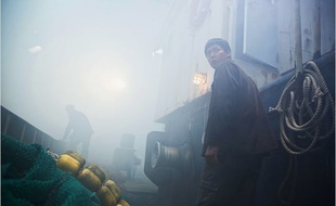 Sea fog, les cladestins