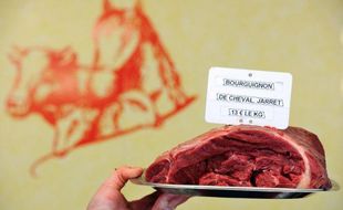 Après le scandale des lasagnes au cheval l'hiver dernier, la filière viande est de nouveau ébranlée par un trafic en Europe de viande chevaline impropre à la consommation qui concernerait au moins 3.000 chevaux, selon le procureur à Marseille.