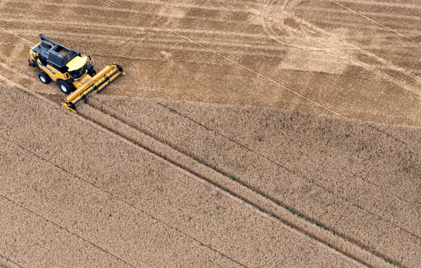 VIDEO. Pourquoi les insectes vont ravager les cultures agricoles