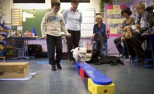 "Debout Pivoine ! Pousse la quille !", ordonne Lydia, 9 ans. Le westie renverse la quille du bout de son museau sous les applaudissements : à l'école élémentaire Boulard à Paris, les enfants souffrant de troubles de l'apprentissage reprennent goût à la classe grâce aux chiens.