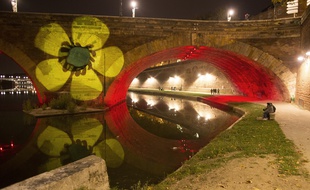 Une renoncule projetée sur le Pont-Neuf à Toulouse, le samedi 24 octobre, en hommage à Rémi Fraisse.