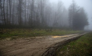 Le chemin forestier où a été retrouvé le corps carbonisé d'un adolescent de 14 ans, le 11 janvier 2012, dans les bois d'Etouvans dans le Doubs.