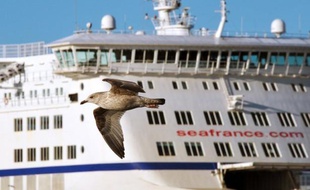 L'avocat des salariés de SeaFrance, qui ont déposé un projet de reprise de leur entreprise via une société coopérative, a déclaré qu'il allait demander le report de l'audience pour boucler le dossier financier, alors que le Tribunal de commerce de Paris doit statuer ce mardi.