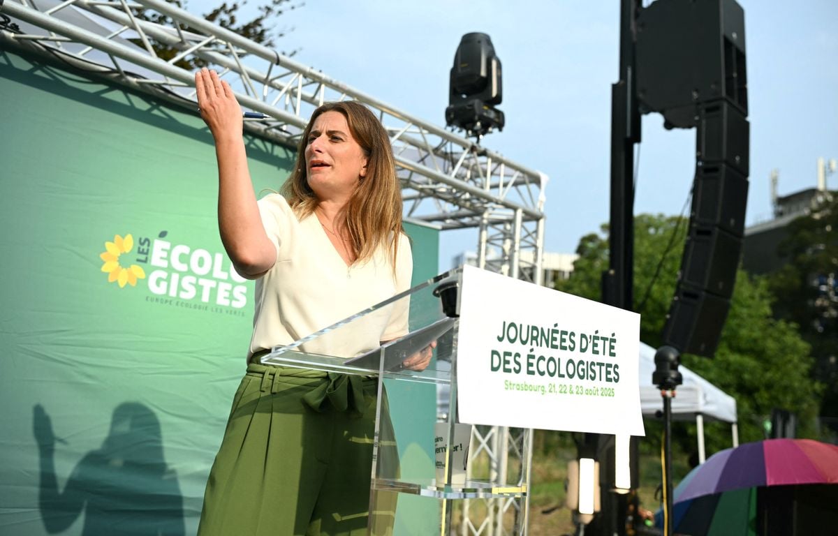 Université d'été des Ecologistes : « Arrêtons les gnagnagna »... Tondelier appelle à une primaire de la Gauche commune