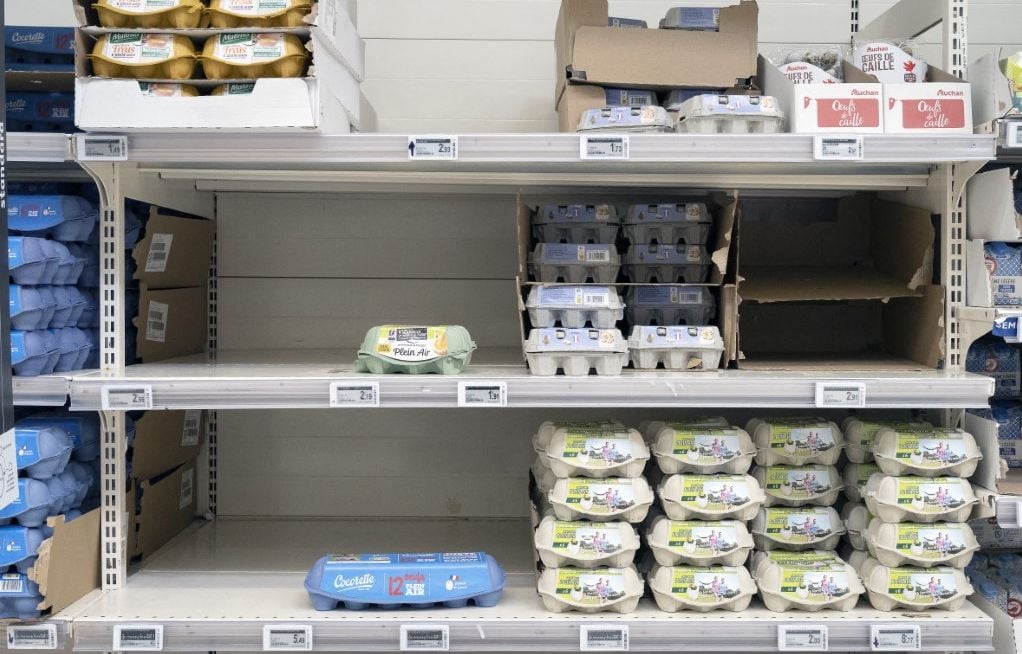 Pourquoi les rayons oeufs des supermarchés sont-ils parfois dépeuplés ?