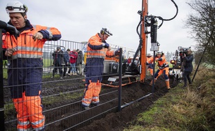 Le Danemark a commencé la construction d'une palissade le long de la frontière pour empêcher les sangliers porteurs de la peste porcine d'entrer sur le territoire.