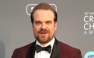 L'acteur David Harbour