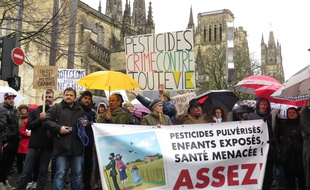 A Bordeaux le 14 février 2016, marche blanche organisée contre les pesticides à l'appel de plusieurs associations et collectifs locaux.