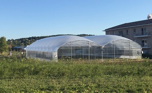 L'Aromatic FabLab dispose de 9 000 m2 de culture en pleine terre et sous serre.