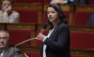 La députée écologiste et ancienne ministre Cécile Duflot, le 4 novembre 2014 à l'Assemblée nationale à Paris