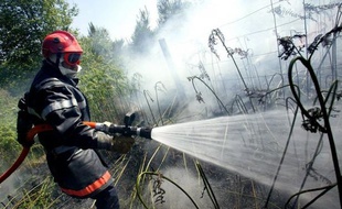 Des pompiers du sud de l'Angleterre, confrontée à une forte sécheresse, sont venus partager le savoir-faire des pompiers du très boisé département des Landes, rompus aux techniques de lutte contre les feux de forêt, a-t-on appris jeudi auprès d'un responsable des pompiers landais