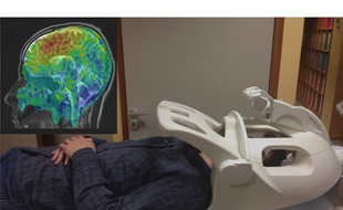 La palpation du cerveau est possible grâce à la lecture des ondes de cisaillement.