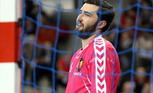 Le gardien Cyril Dumoulin et les Toulousains ont cédé face à Nantes, en finale de la Coupe de la Ligue, le 29 mars 2015 à Rouen.