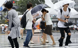 Un typhon, Mindulle, le neuvième de la saison en Asie, a accosté lundi près de Tokyo, accompagné de pluies diluviennes, forçant les compagnies aériennes japonaises à annuler des centaines de vols et perturbant la circulation sur les routes et voies ferrées.