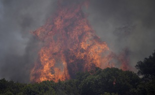 Incendie dans le Var.