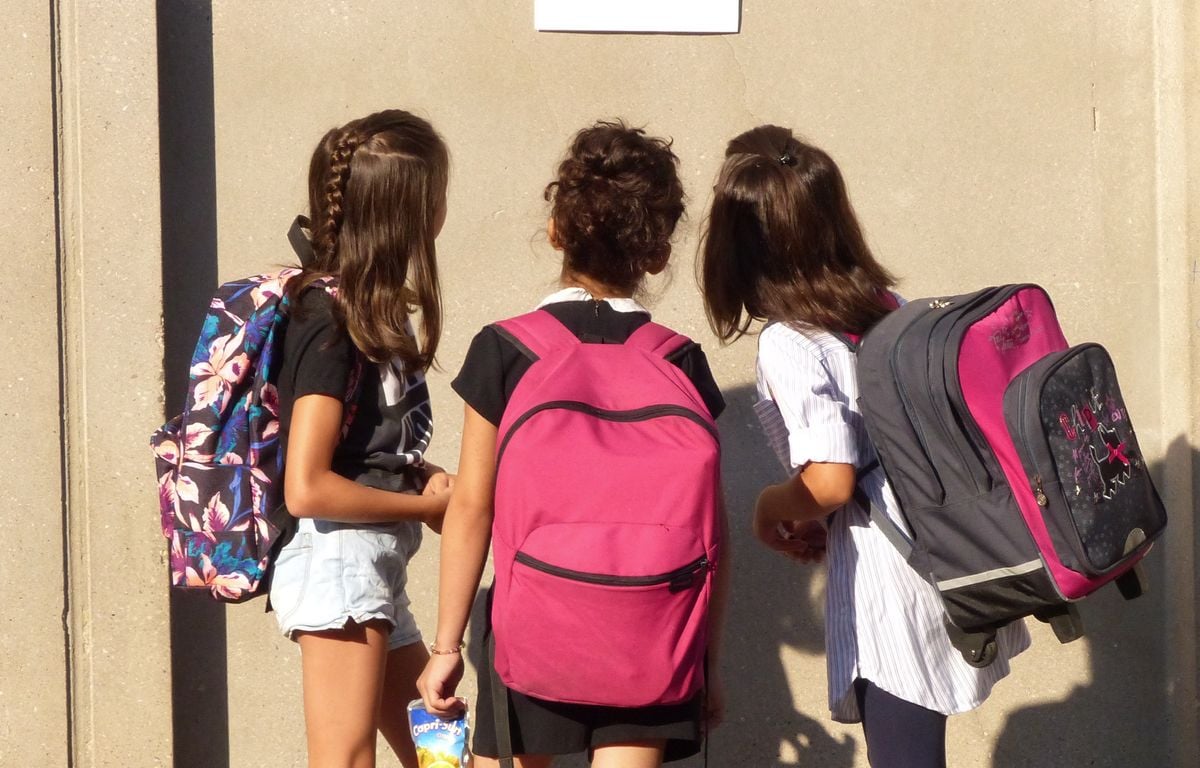 Des établissements scolaires catholiques invitent des associations anti-avortement pour contourner le programme officiel