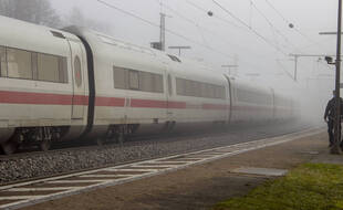 L'attaque avait fait quatre blessés graves dans un train entre Ratisbonne et Hambourg.