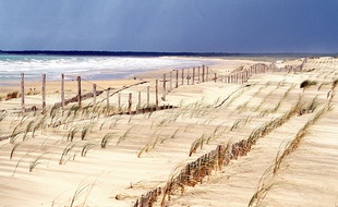 Une plage de l'île d'Oléron.