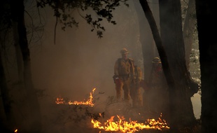 Les incendies qui ravagent la Californie du nord ont fait plus de 30 morts, ont annoncé les autorités jeudi 12 octobre.