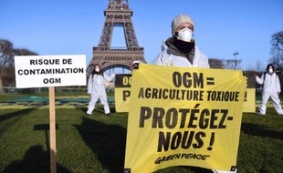 Des militants de Greenpeace lors d'une manifestation contre les OGM, sur le Champ de Mars à Paris le 12 février 2014