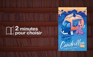 Cendrillon 2.0 - Il était une fangirl