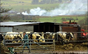 Une interdiction des déplacements du bétail sur tout le territoire de la Grande-Bretagne a été imposée en raison de la découverte d'un foyer de fièvre aphteuse, a annoncé vendredi le ministère de l'Environnement.