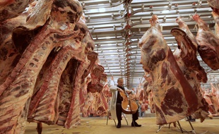 Le violoncelliste Dominique de Williencourt à Rungis