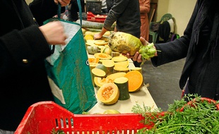Les produits de saison sont prisés par les consommateurs.