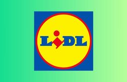 Lidl : Ce souffleur à feuilles à moins de 20 euros va sauver votre automne