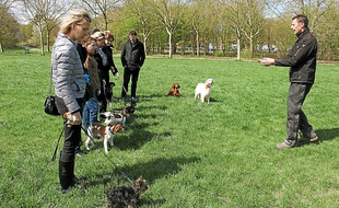 Jérôme Mascarin organise des leçons pour les chiens et leurs maîtres au bois de Vincennes le samedi matin.