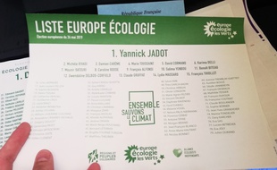 La liste Europe Ecologie a réalisé l'un de ses plus gros scores en Loire-Atlantique.