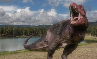 Un parc d'attractions baptisé Dinosaurs In The Wild sur le thème des dinosaures ouvrira cet été 2017 au Royaume-Uni.