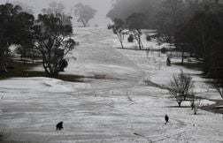 De la neige en Australie en août, preuve que le réchauffement climatique n’existe pas ?
