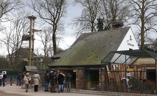 Strasbourg: La mini-ferme rouvre mais le zoo de l'Orangerie doit encore opérer sa mue
