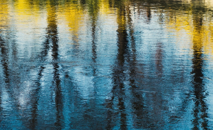 Miroir, miroir