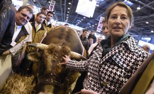 Ségolène Royal visite le Salon de l'agriculture, le 28 février 2015 à Paris