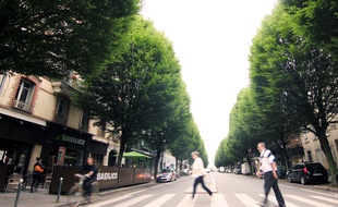 L'avenue Janvier sera entièrement réaménagée par la ville de Rennes.