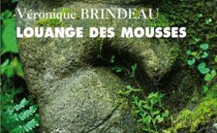 Louange des mousses