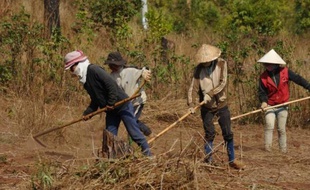 Thi Sieu affirme que sa famille a vécu pendant des générations sur un lopin de terre couvert d'arbres à cajou, jusqu'à ce qu'il lui soit confisqué sans compensation. Une histoire dont elle sait qu'elle se répète un peu partout au Vietnam.