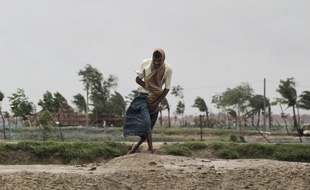 Un homme essaie de lutter contre le vent à Bhadrak en Inde.