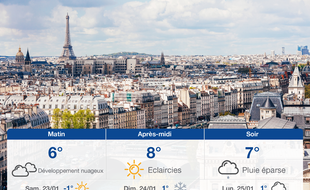 Météo Paris: Prévisions du vendredi 22 janvier 2021