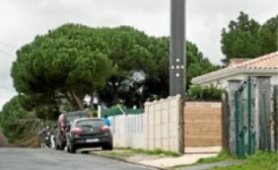 Le pylone de téléphonie mesure 13m.