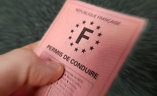 Un permis (illustration).